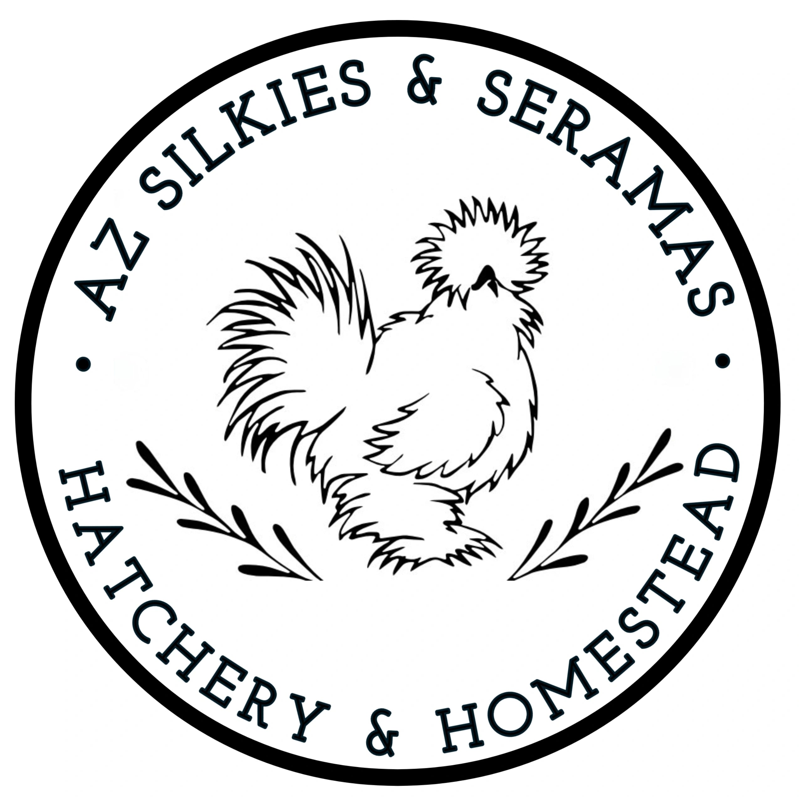 Silkies, Seramas and Rare Breed Chicks for Sale! – AZ Silkies & Seramas